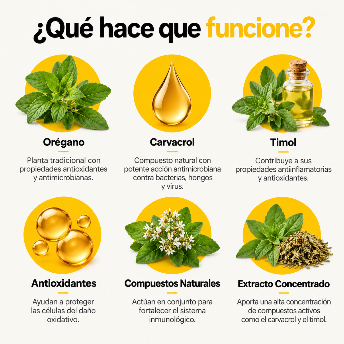 CARLYLE® /  aceite de orégano producto anti oxidante, inflamatorio y microbiano